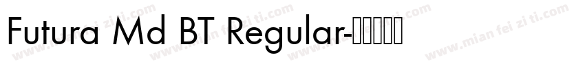 Futura Md BT Regular字体转换